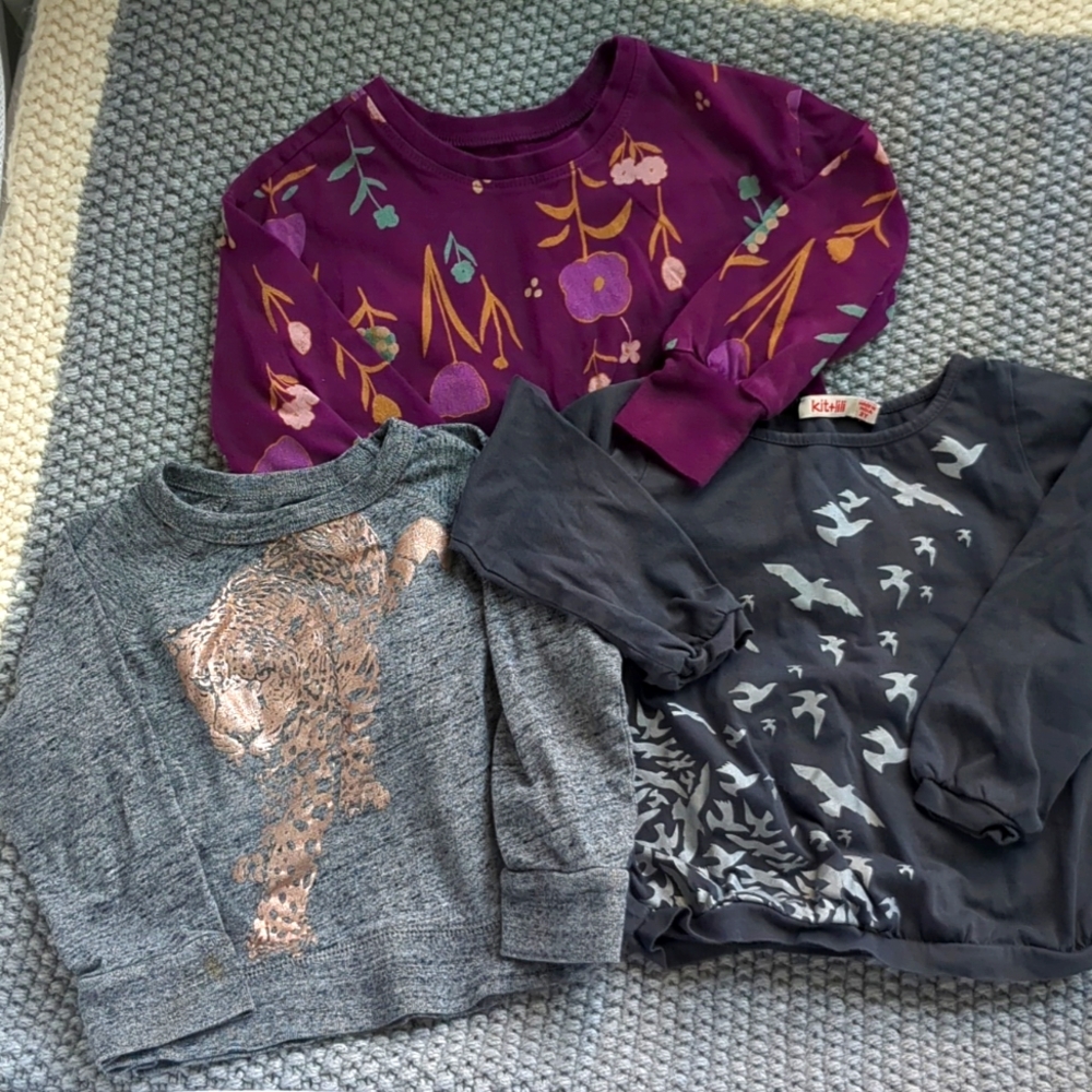 Lot Bundle of Three 2T Long Sleeve Shirts Tea Collection Floral Crewcuts Tiger